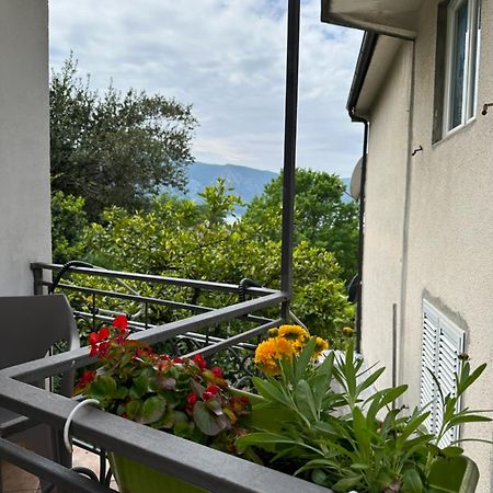 Apartman Nina Рисан Екстериор снимка